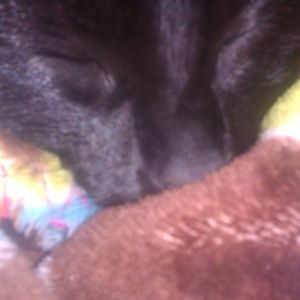 Meet your Posher, Morgen